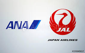 airline.Japan Airlines Taille et poids Bagages