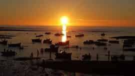 Envio de equipaje :countryLong