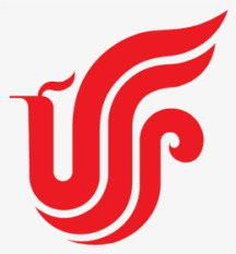 Envio de equipaje :countryLong