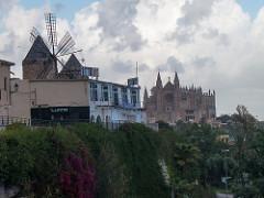 Palma Consigna equipaje
