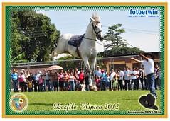 Consigna equipaje San Martín Zapotitlán