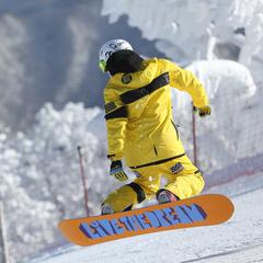Deposito sci e snowboard Lione