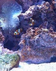 Consigne bagage NEMO