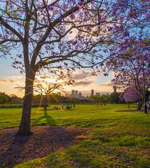 Consigna de equipaje New Farm Park