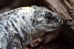 Luggage storage Bristol Zoo