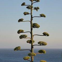 Consigne bagage Praia de Faro