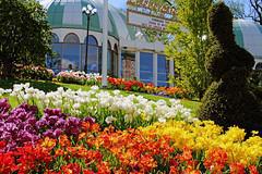 Consigne bagage Liseberg
