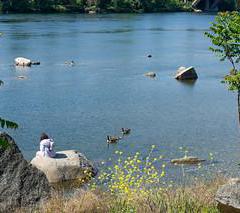 Luggage storage Park Gayeulles