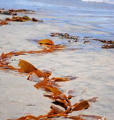 Consigna de equipaje La Jolla Shores