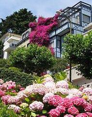 Consigna de equipaje Lombard Street