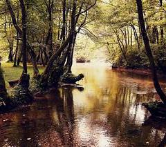 Luggage storage River Bosna Springs