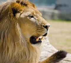 Luggage storage Sarajevo Zoo