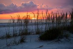 Consigne bagage Lido Key Beach