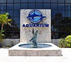 Consigne bagage Mote Marine Laboratory & Aquarium