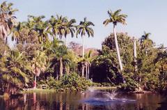 Consigne bagage Sarasota Jungle Gardens