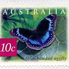 Luggage storage Capbreton train station